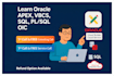 teach oracle apex, vbcs, sql, plsql, and oic from beginner to advanced