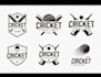 design a modern and outstanding cricket logo