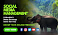 be a social media manager and content creator for fb, ig, x, and linkedin page