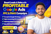 setup optimize and manage high converting google ads PPC and pmax campaign