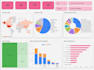 create advanced dashboards, pivot charts, macros