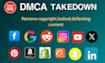 takedown remove harassing defaming negative content from fb,ig,yt,reddit,google