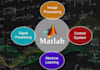 matlab programming, machine learning, image and signal processing