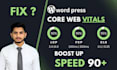 optimize wordpress site speed on google pagespeed or gtmetrix score