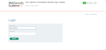 perform website vulnerability and penetration testing