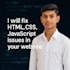 fix HTML CSS js and frontend issues on your website