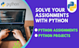 do your python projects