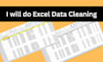 convert scanned PDF to excel and clean excel data professionally