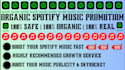 professionally promote your track on spotify to streams