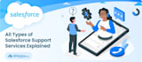 provide salesforce job support on a daily, weekly, or monthly basis