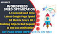 do wordpress speed optimization