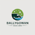 make memorable modern professional van logo design