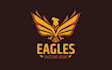 create beautiful flying eagle logo design for your company