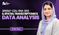 do rnaseq and transcriptomics data analysis