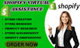 be your shopify virtual assistant manager promote and optimize store