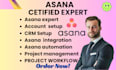 be your asana expert for project setup, asana consultant ,