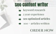 be comment writer, article,resume and content writer