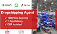 china sourcing agent, china supplier,shopify dropshipping