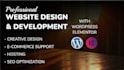 make a professional website