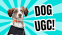 create dog ugc videos for your brand