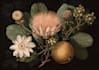draw digital botanical illustrations
