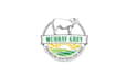 design a premium powerful logo for australian beef