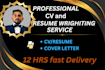 write professional resume, cv and cover letter