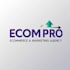 manage your ebay virtual assistant , 2 step dropshipping store va
