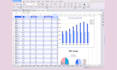 professionally design a custom excel budget spreadsheet for you