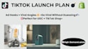 create a viral tiktok dropshipping launch plan with ad hooks and strategy