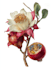draw realistic botanical illustration