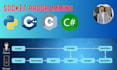 do socket programming, networking, tcp ip udp in python c cpp