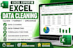 clean, format and organize your excel data professionally