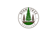 design elegant tree service company logo