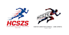 create a awesome racing logo with fastest delivery