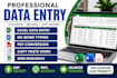 do professional data entry and excel typing for business and office tasks