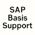 provide sap basis support, integrations