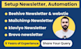 setup beehive newsletter automation landing page website
