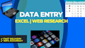 professional data entry expert