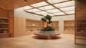 create stunning 3d architectural renders and walkthrough