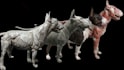 create realistic 3d animals and creatures