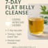 create a belly fat detox tea plan using african herbs and deliver a PDF guide