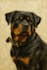 draw your pet or any animal
