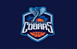 design awesome updated basketball logo