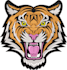 digitize high quality embroidery design