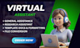 be your professional virtual assistant