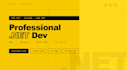 develop professional asp, dotnet core and  mvc web applications