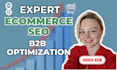 do complete monthly ecommerce SEO for woocommerce , shopify or b2b website