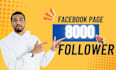 provide 1000 facebook page followers real active users