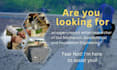 do geotechnical engineering geotech projects